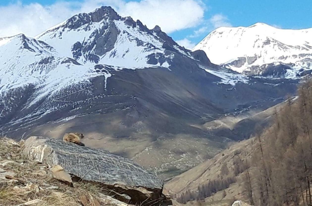 Ubaye Liberty Leilighet Barcelonnette Eksteriør bilde